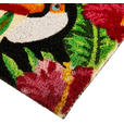 FUßMATTE  40/60 cm  Multicolor  - Multicolor, KONVENTIONELL, Textil (40/60cm) - Esposa