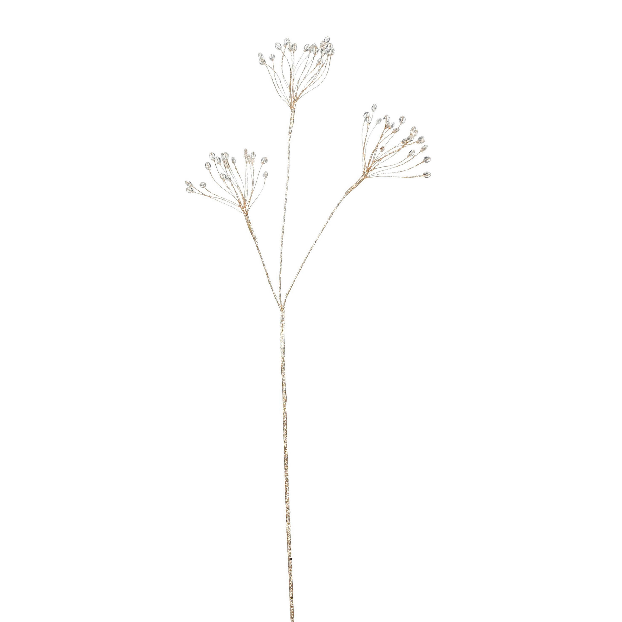 UKRASNA GRANA - šampanjac, Osnovno (75/7/2cm)