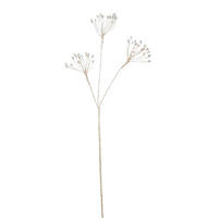 OKRASNA VEJA - barve šampanjca, Basics (75/7/2cm)
