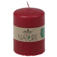 STUMPENKERZE  - Honig, Basics, Naturmaterialien (5,7/8,0cm) - Steinhart