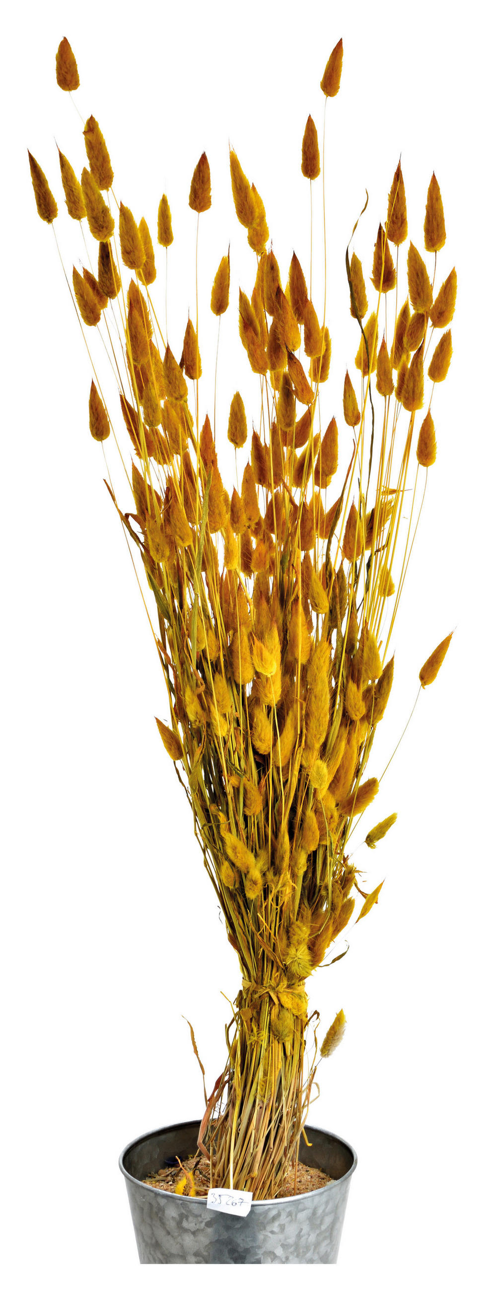 TROCKENBLUMENSTRAUß  - Gelb, Basics, Naturmaterialien (50cm)