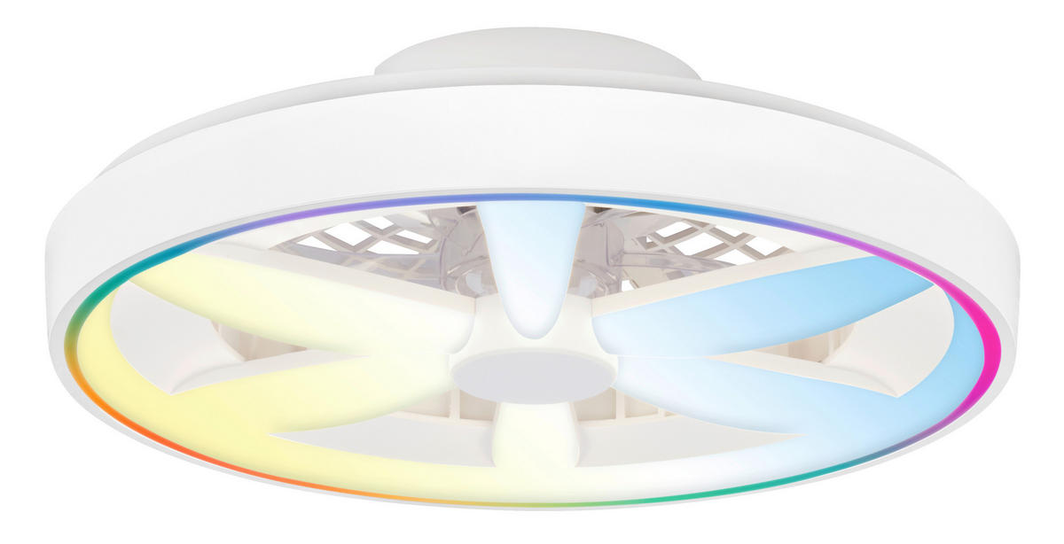 DECKENVENTILATOR 48./15 cm   - Weiß, Design, Kunststoff (48./15cm)