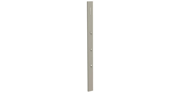 GARDEROBENPANEEL 10/165/3 cm - Taupe, Design, Holzwerkstoff/Metall (10/165/3cm) - Moderano