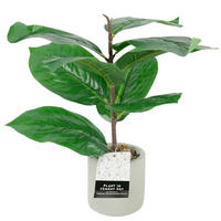 BILJKA UMJETNA  - siva/zelena, Basics, kamen/plastika (30/30/40cm)