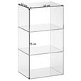 REGAL  40/75/30 cm Transparent  - Transparent, Design, Glas (40/75/30cm) - Xora