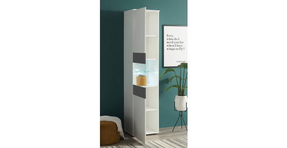 VITRINE  in Graphitfarben, Weiß  - Alufarben/Graphitfarben, MODERN, Glas/Holzwerkstoff (45/195/37cm) - Carryhome