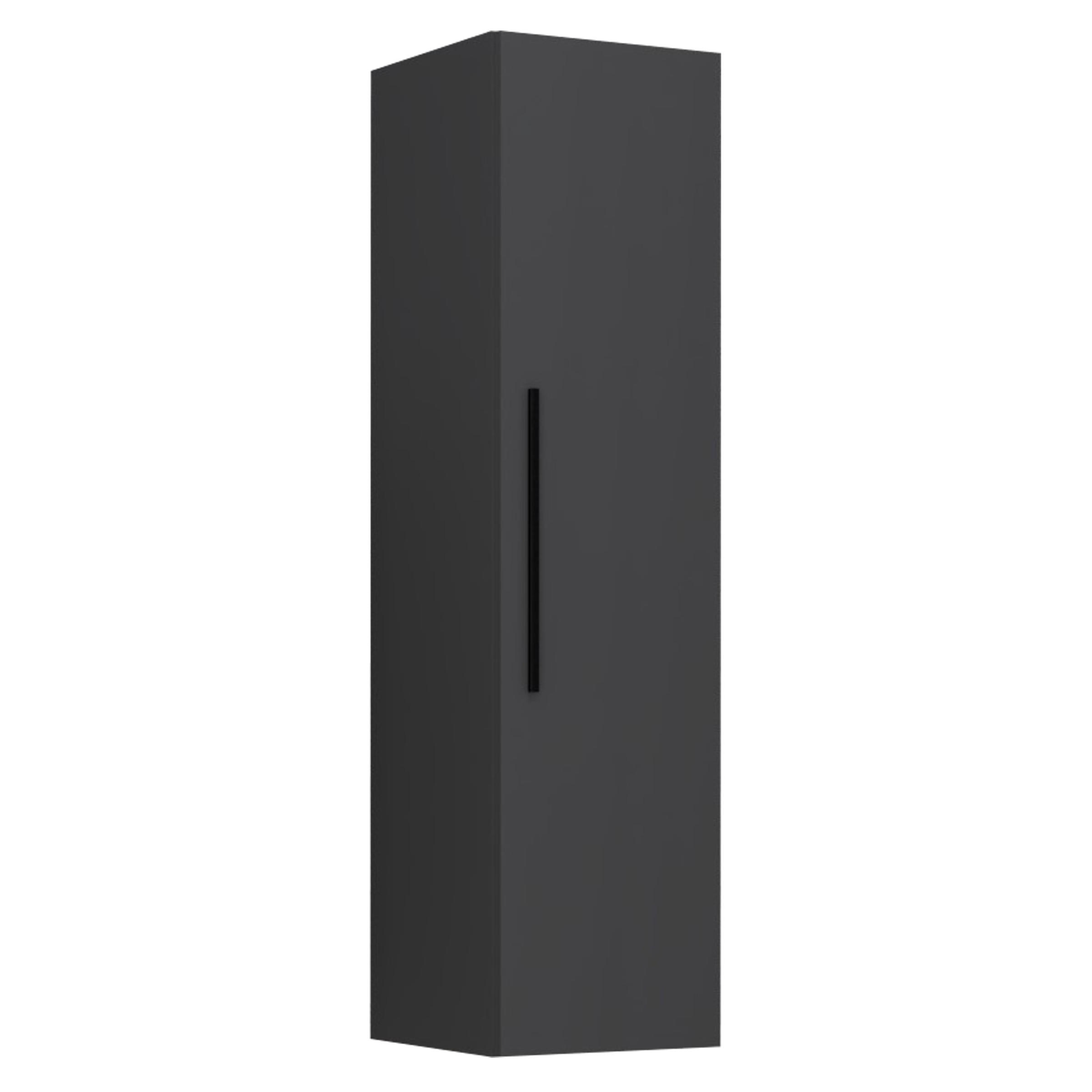 VÄGGHÄNGT SKÅP  - svart/antracit, Modern, metall/trämaterial (30/115/30cm) - MID.YOU