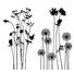 Blumen WANDTATTOO - Multicolor, Basics, Kunststoff (50/70/0,10cm) Blumen WANDTATTOO - Multicolor, Basics, Kunststoff (50/70/0,10cm)