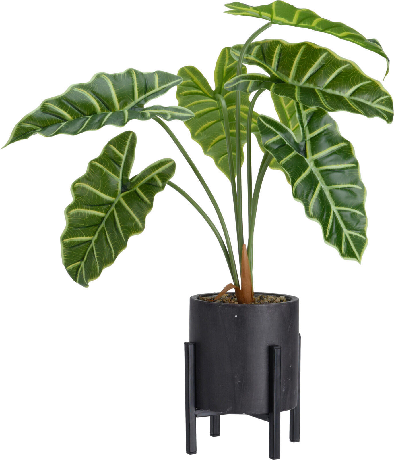 Plantă Artificială - Basics, plastic (13/13/55cm)