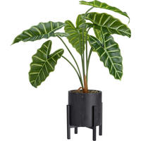 Plantă Artificială - Basics, plastic (13/13/55cm)