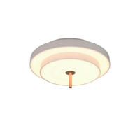 PLAFONIERĂ CU LED - gri, Basics, metal (40/20cm)