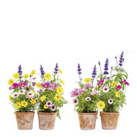 FÖNSTERBILD 31/31 cm     - multicolor, Natur, plast (31/31cm) - Komar