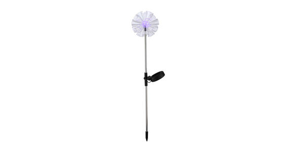 SOLARLEUCHTE - Edelstahlfarben, Design, Kunststoff/Metall (12/70cm) - Boxxx