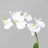 KUNSTBLUME Orchidee - Creme/Weiß, LIFESTYLE, Kunststoff/Metall (23cm)