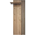 GARDEROBENPANEEL  in 79/196/35 cm  - Eichefarben, Design, Holz/Metall (79/196/35cm) - Johann Jakob