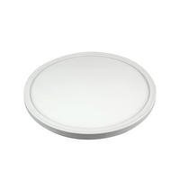 STROPNA SVJETILJKA VANJSKA  - bijela, Basics, plastika (29,3/2,6cm)