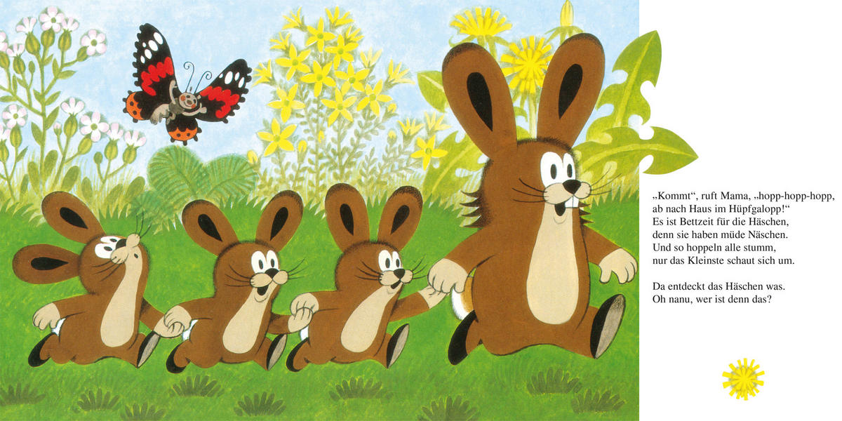 BUCH - Multicolor, Basics, Papier (19,8/19,8/1,6cm)