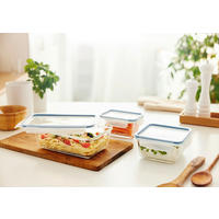 FRISCHHALTEDOSENSET  - Basics (24/16,5/22,8cm) - Rotho