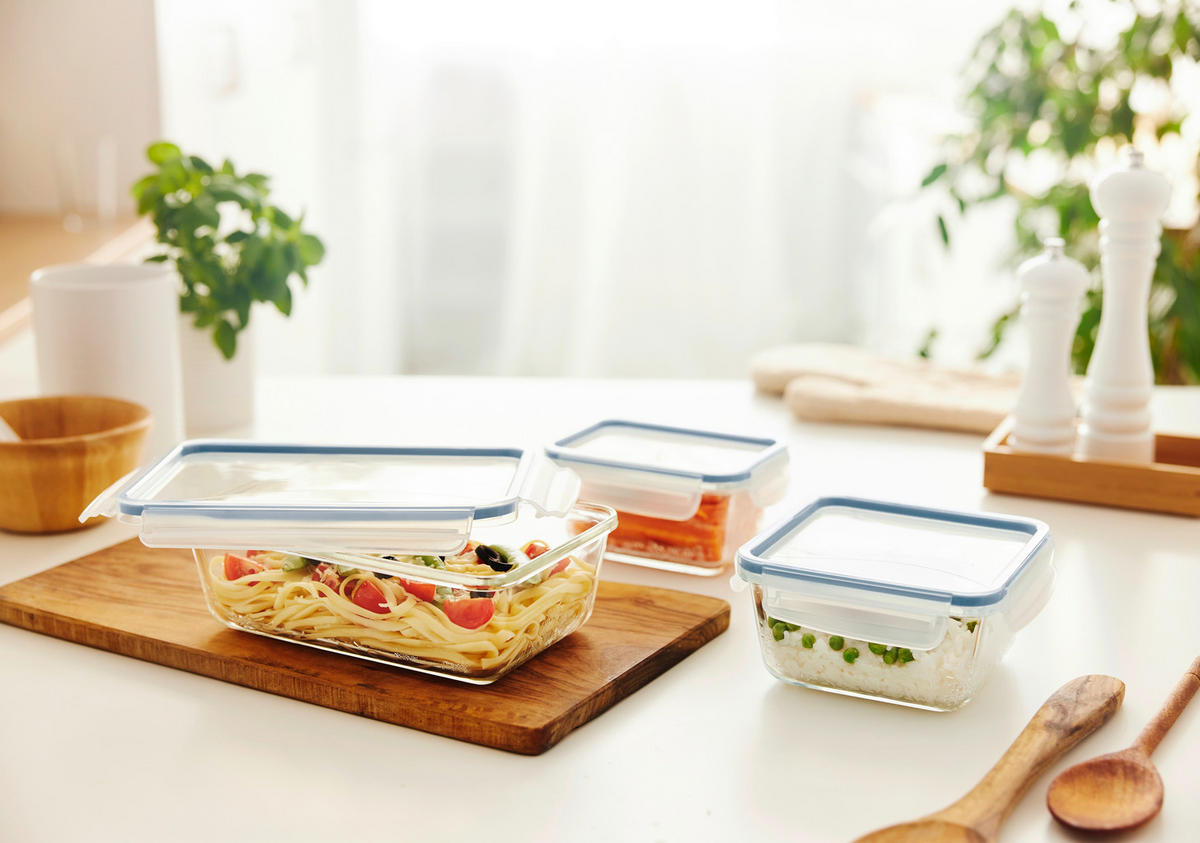 FRISCHHALTEDOSENSET  - Basics (24/16,5/22,8cm) - Rotho