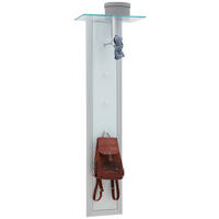 GARDEROBENPANEEL  in 52/170/35 cm  - Weiss/Alufarben, Design, Glas/Metall (52/170/35cm) - Dieter Knoll