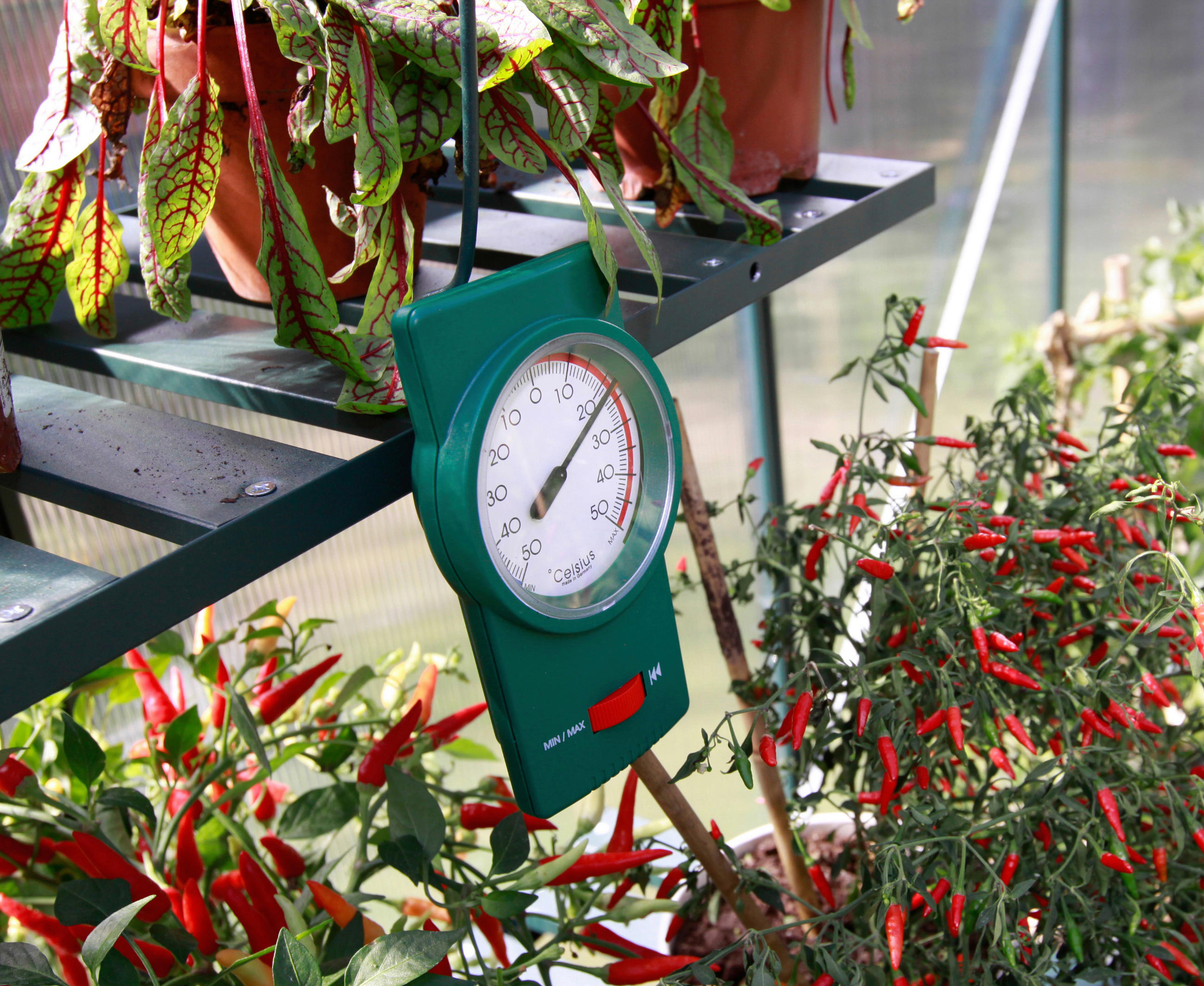 THERMOMETER - Grün, Basics, Kunststoff (4/2/8cm)