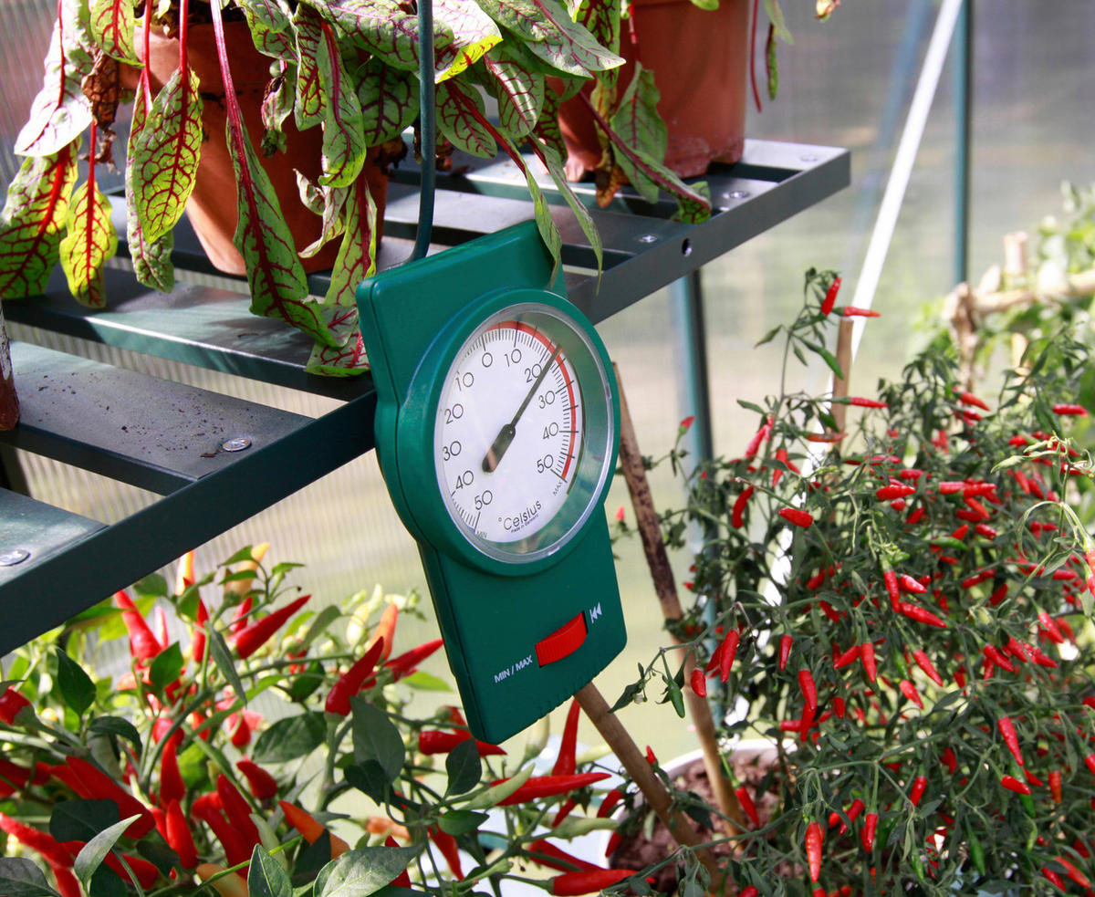 THERMOMETER - Grün, Basics, Kunststoff (4/2/8cm)