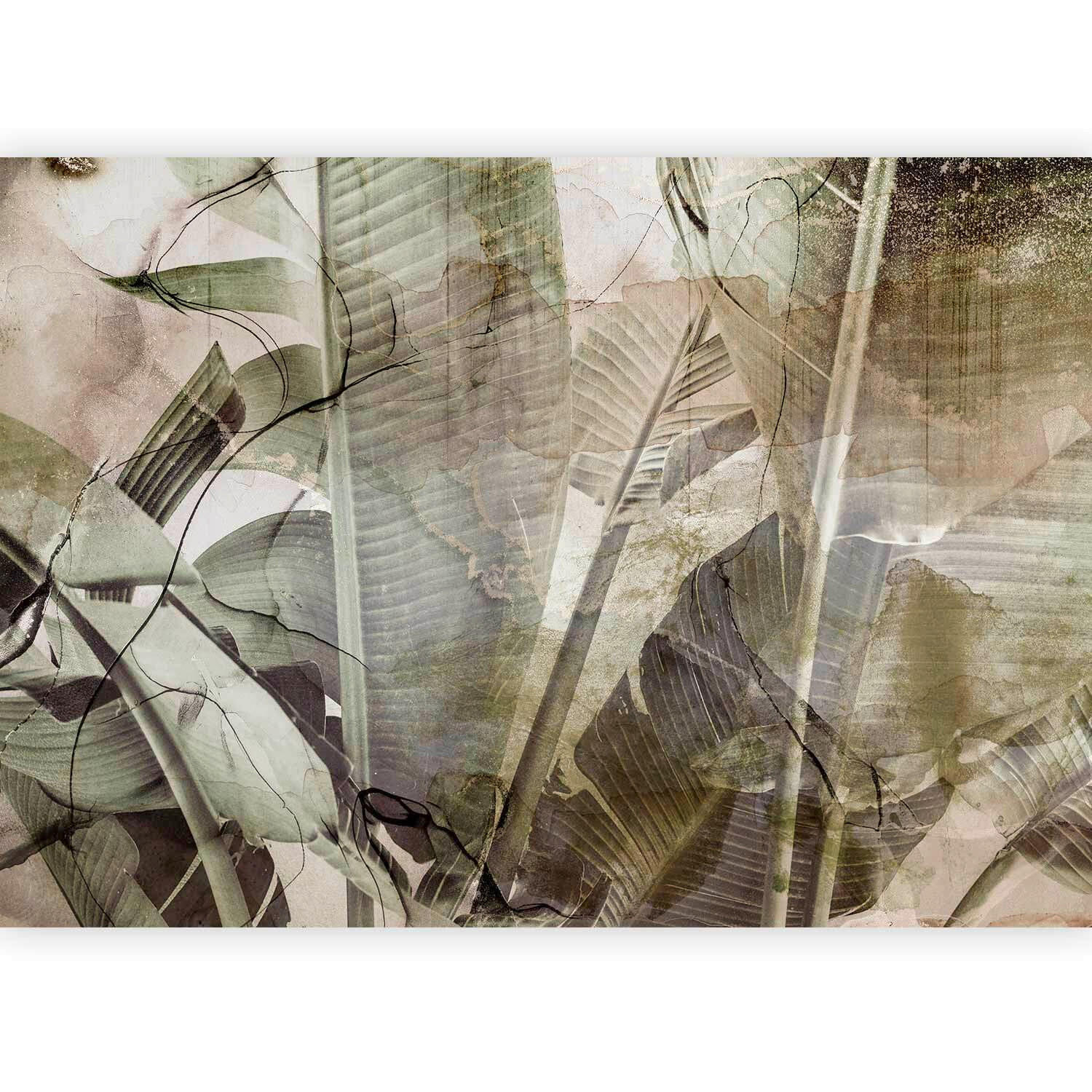 FOTOTAPETE - Salbeigrün/Grauweiß, Basics, Textil (150/105cm) - artgeist