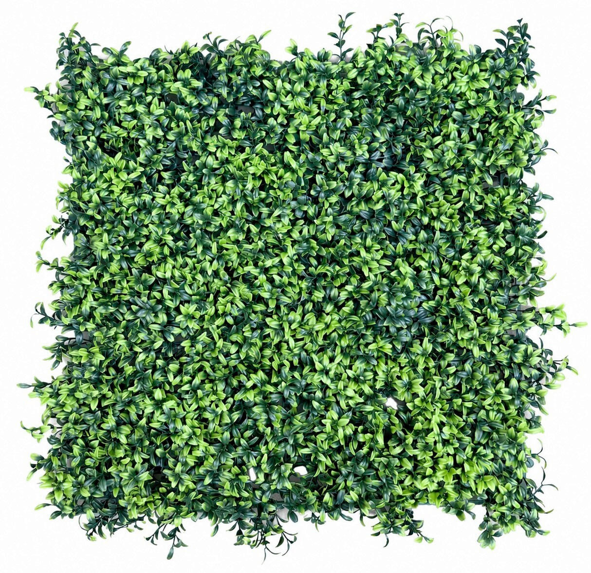 OBLOGA ZIDNA  zelena  - zelena, Design, plastika (50/50/3cm)