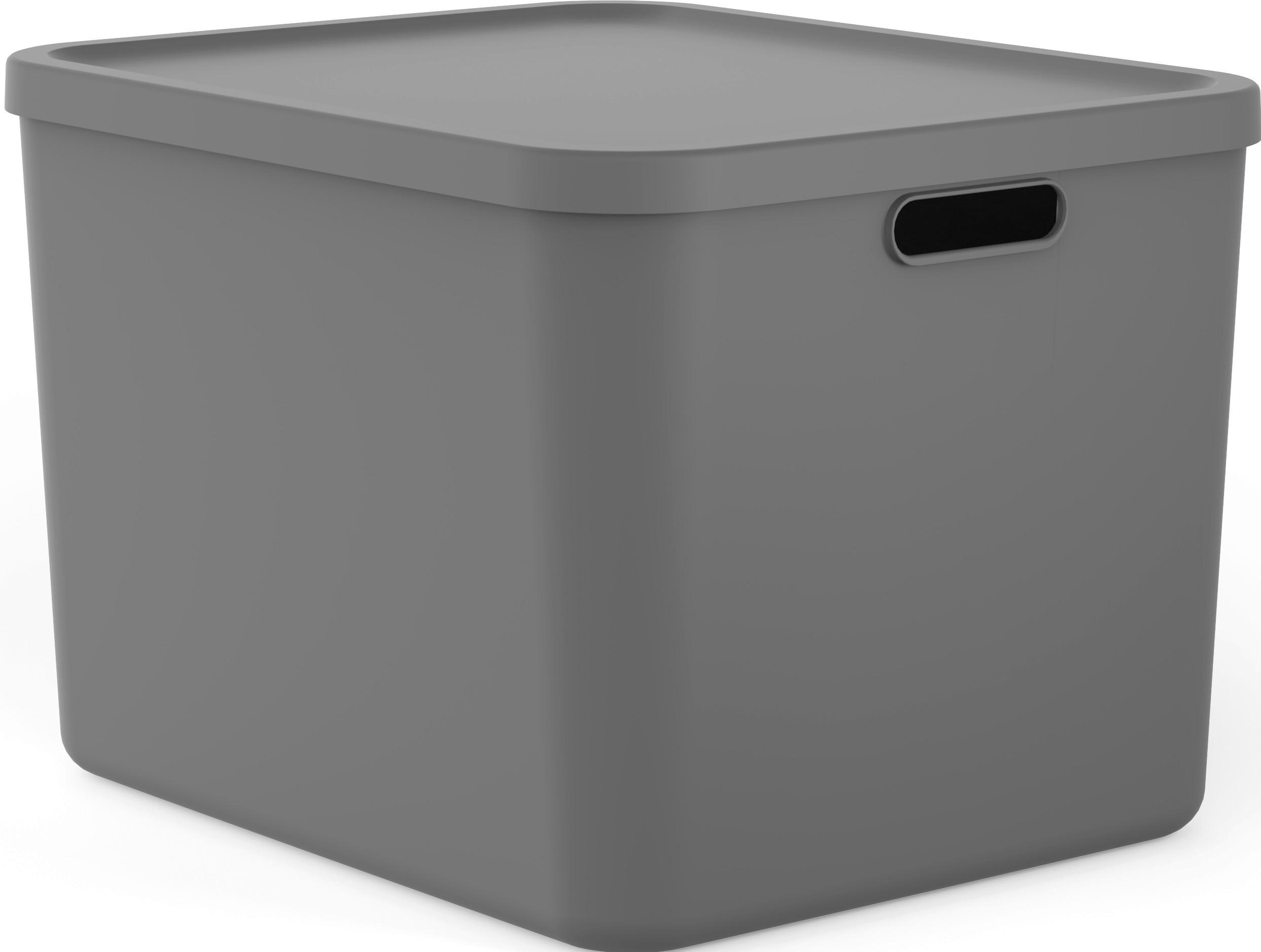 AUFBEWAHRUNGSBOX Albula  - Anthrazit, KONVENTIONELL, Kunststoff (48,9/40,5/34cm) - Rotho