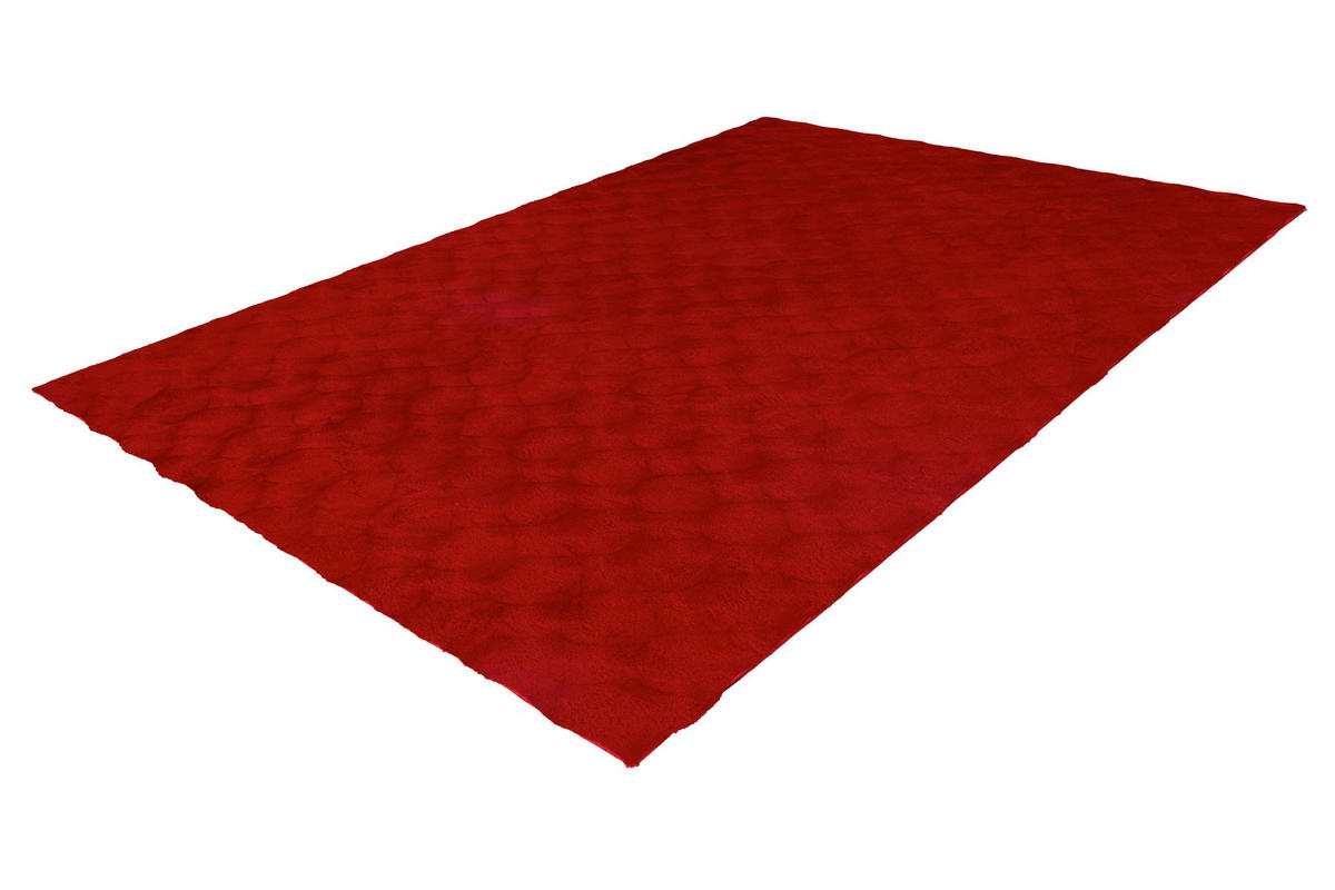 HOCHFLORTEPPICH 120/170 cm Rot  - Rot, Basics, Textil (120/170cm) - Kayoom