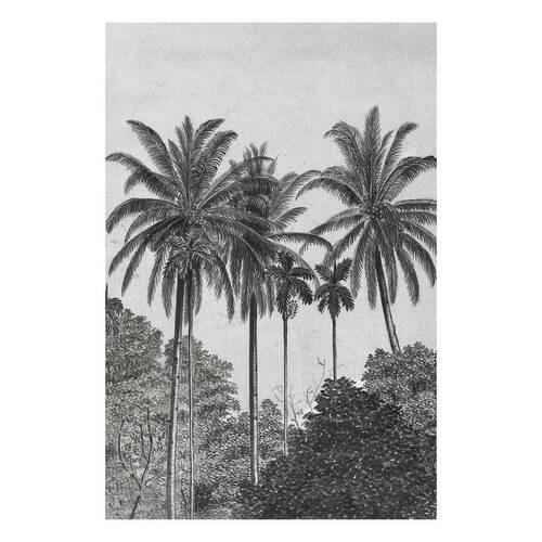 Xora Fototapete Grau, Schwarz, Weiß 200x280 cm