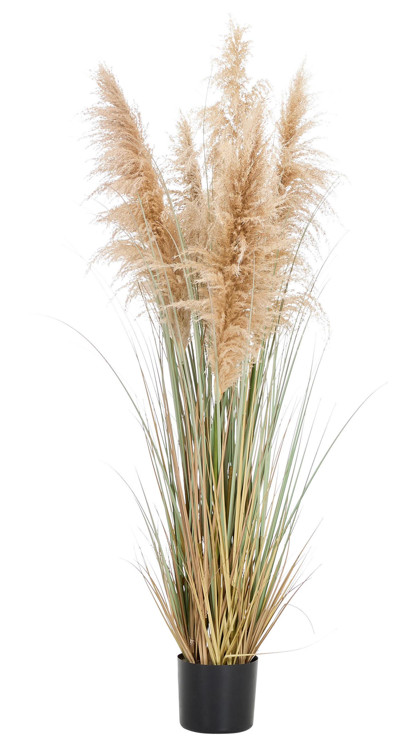 DEKORAČNÍ TRÁVA, 150 cm - hnědá, Natur, kov/plast (150cm) - Ambia Home