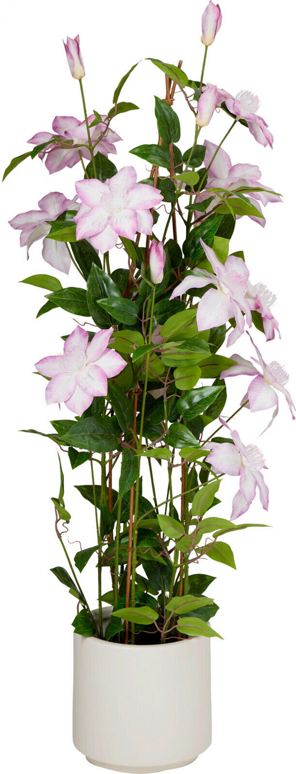 DEKORAČNÁ RASTLINA  - viacfarebná, Basics, textil (35/35/98cm)