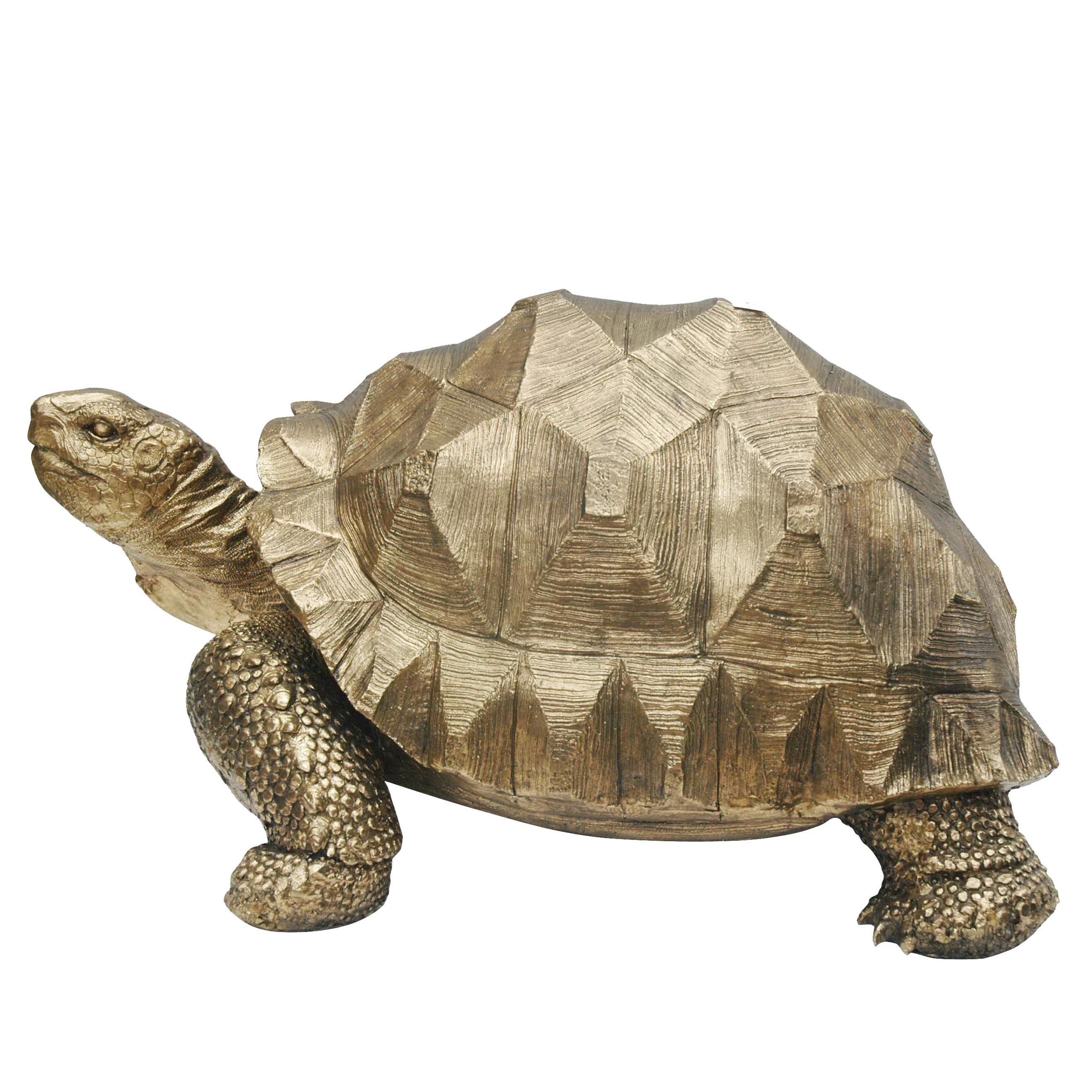 DEKOSCHILDKRÖTE - Goldfarben, LIFESTYLE, Kunststoff (58/41/32cm) - Ambia Home