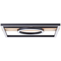 LED-PANEEL     - Schwarz/Braun, Design, Holz/Kunststoff (5/42/40cm) - Brilliant