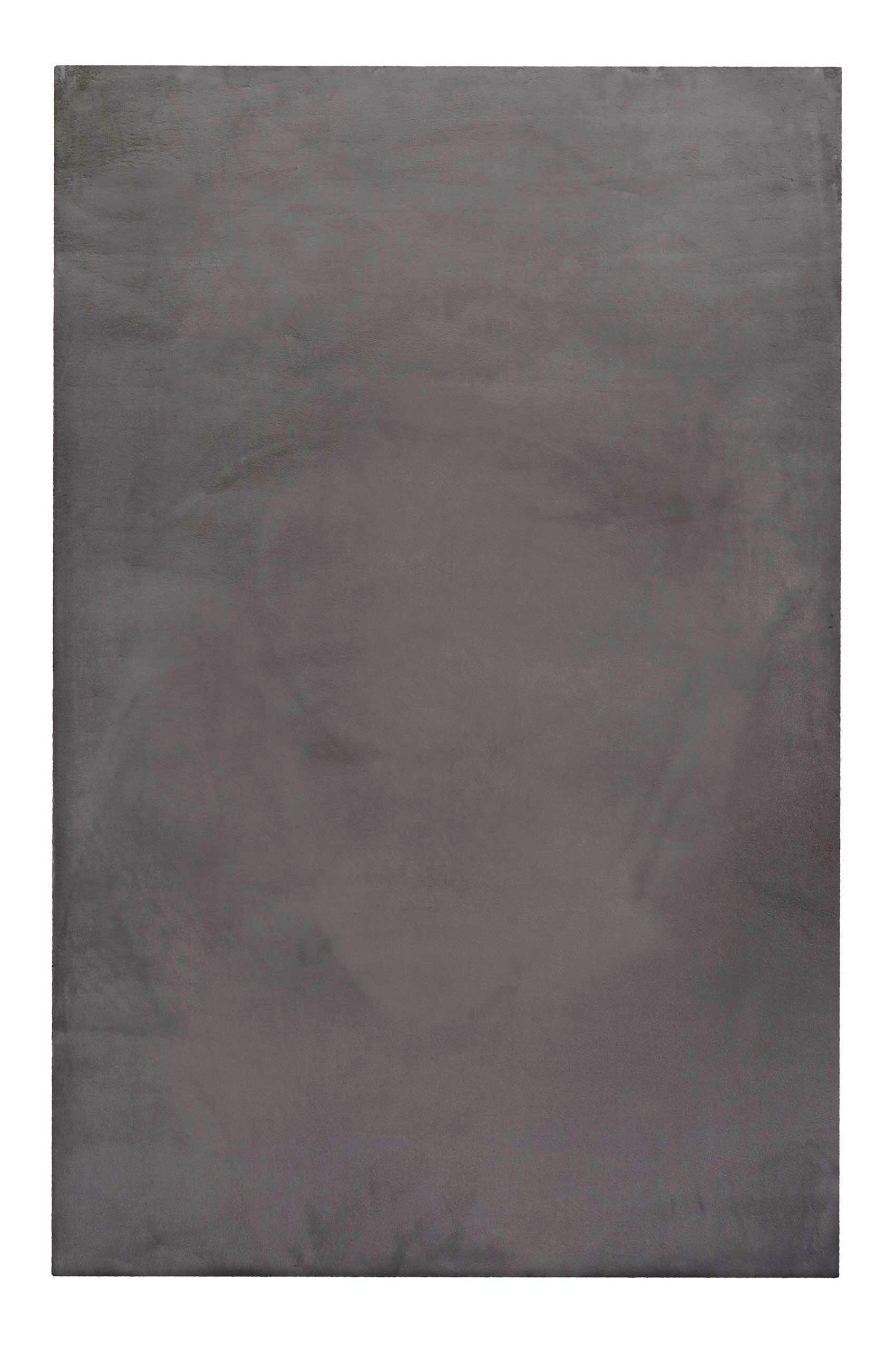 HOCHFLORTEPPICH 120/170 cm Anna Anthrazit  - Anthrazit, KONVENTIONELL, Textil (120/170cm) - WECON HOME BASIC