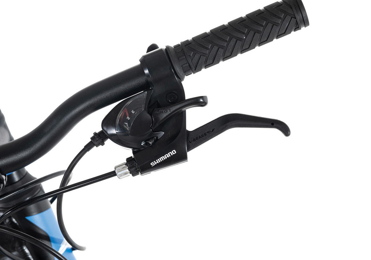 MOUNTAINBIKE 29 Zoll  - Blau/Schwarz, Basics, Metall (139/76/21cm) - Atrigo