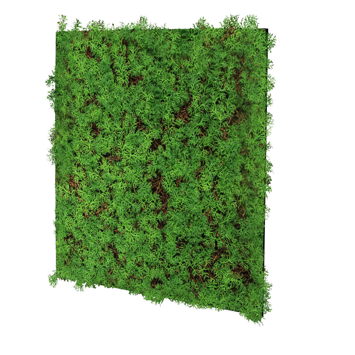 AKUSTIKPANEEL Modular Wall System Nature Design Flora 52/52/6 cm  - Hellgrün, KONVENTIONELL, Kunststoff (52/52/6cm) - Jangal