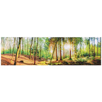 ACRYLGLASBILD Landschaft & Natur  - Multicolor, KONVENTIONELL, Kunststoff (50/180/1,70cm) - Euroart
