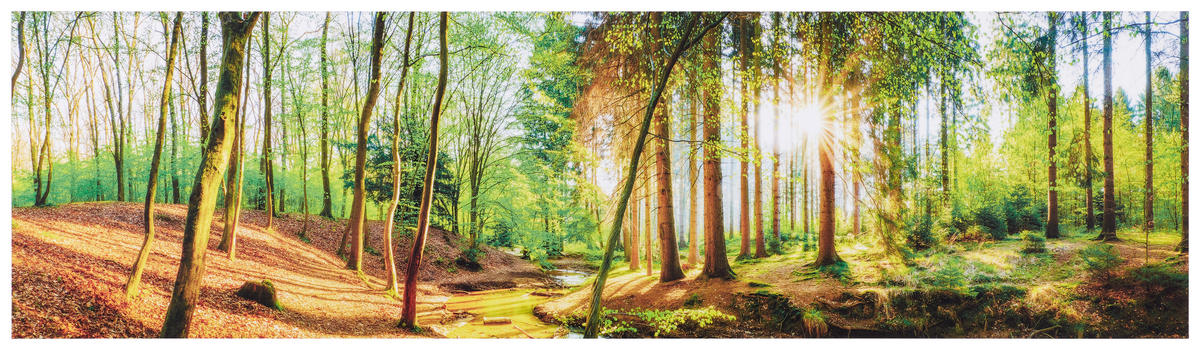 ACRYLGLASBILD Landschaft & Natur  - Multicolor, KONVENTIONELL, Kunststoff (50/180/1,70cm) - Euroart