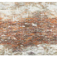 FOTOTAPETE - Dunkelorange, Basics, Papier/Kunststoff (300/280/11cm)