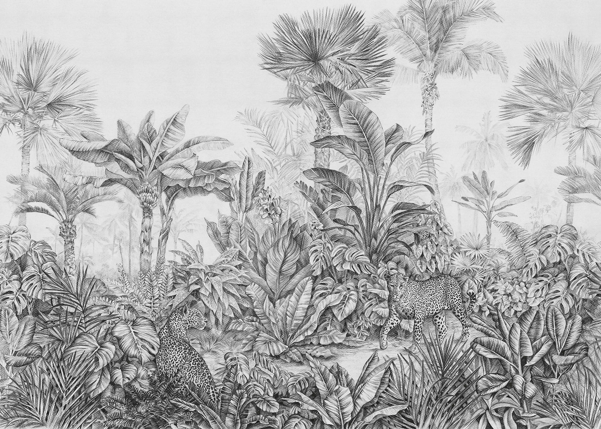 Xora Vliestapete Schwarz, Weiß 350x250 cm