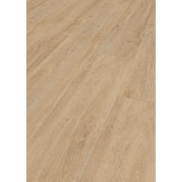 LAMINATBODEN Superior Advanced plus  - Eichefarben, KONVENTIONELL, Holz (138.0/24.4/0.8cm)