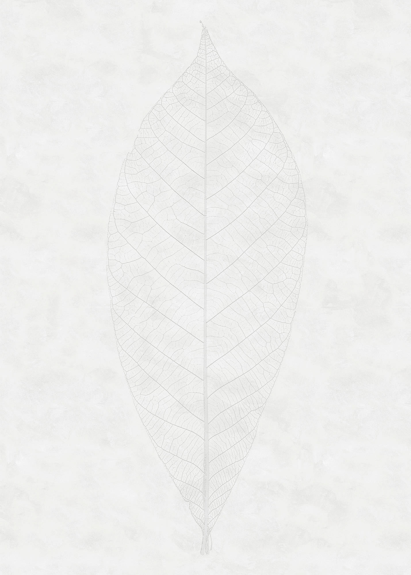 FOTOTAPETE  - Weiß/Grau, Trend (200/280cm)
