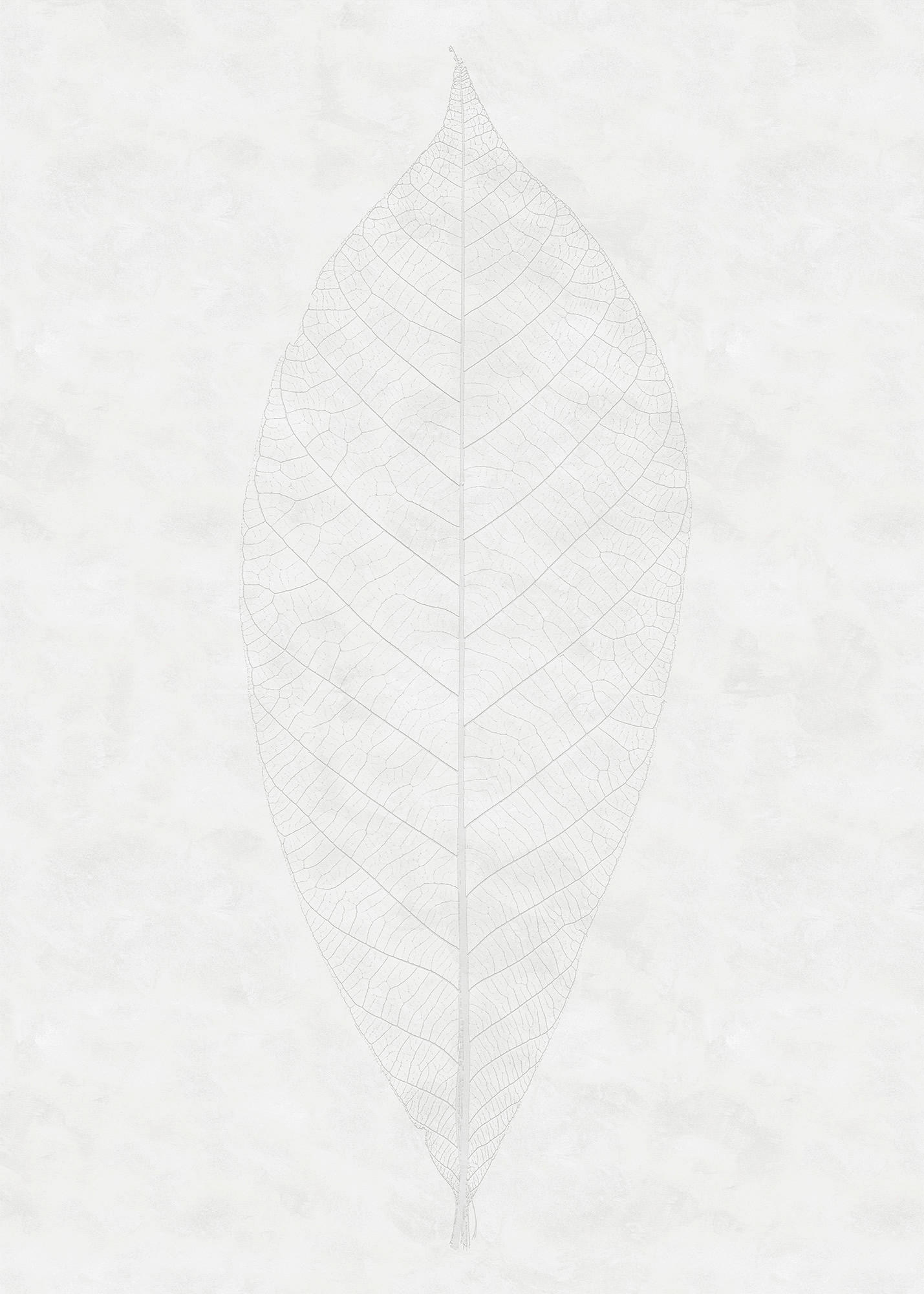 Xora Fototapete Grau, Weiß 200x280 cm