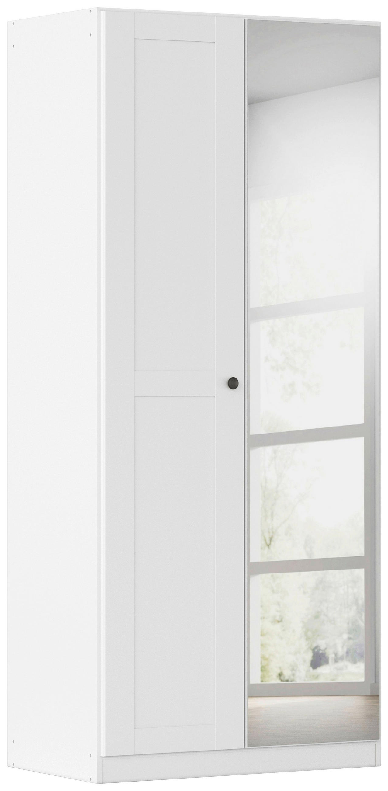 DREHTÜRENSCHRANK 91/210/54 cm,  in Weiß, 2-türig  - Schwarz/Weiß, KONVENTIONELL, Glas/Holzwerkstoff (91/210/54cm) - home24