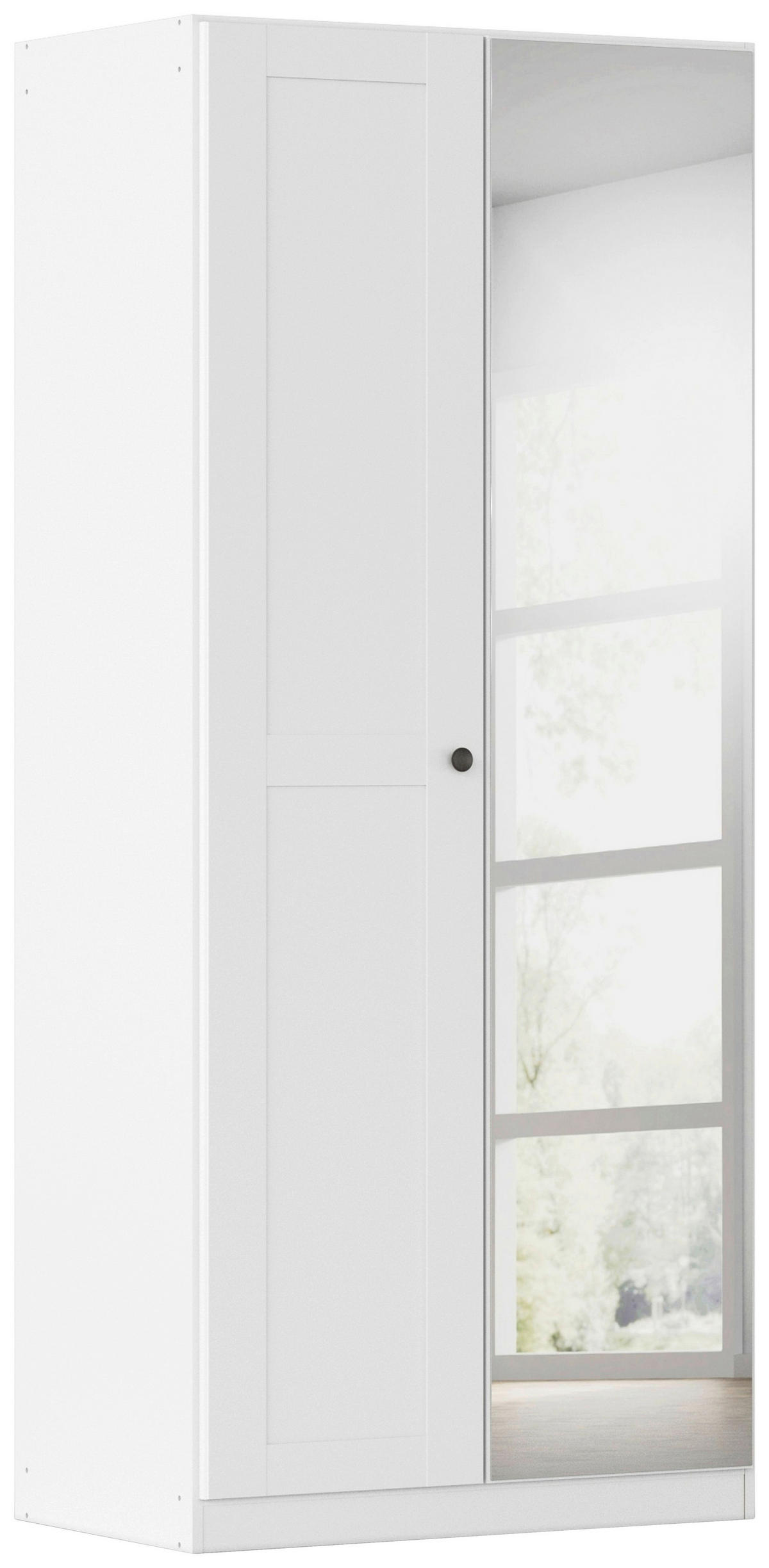 DREHTÜRENSCHRANK 91/210/54 cm,  in Weiß, 2-türig  - Schwarz/Weiß, KONVENTIONELL, Glas/Holzwerkstoff (91/210/54cm) - home24