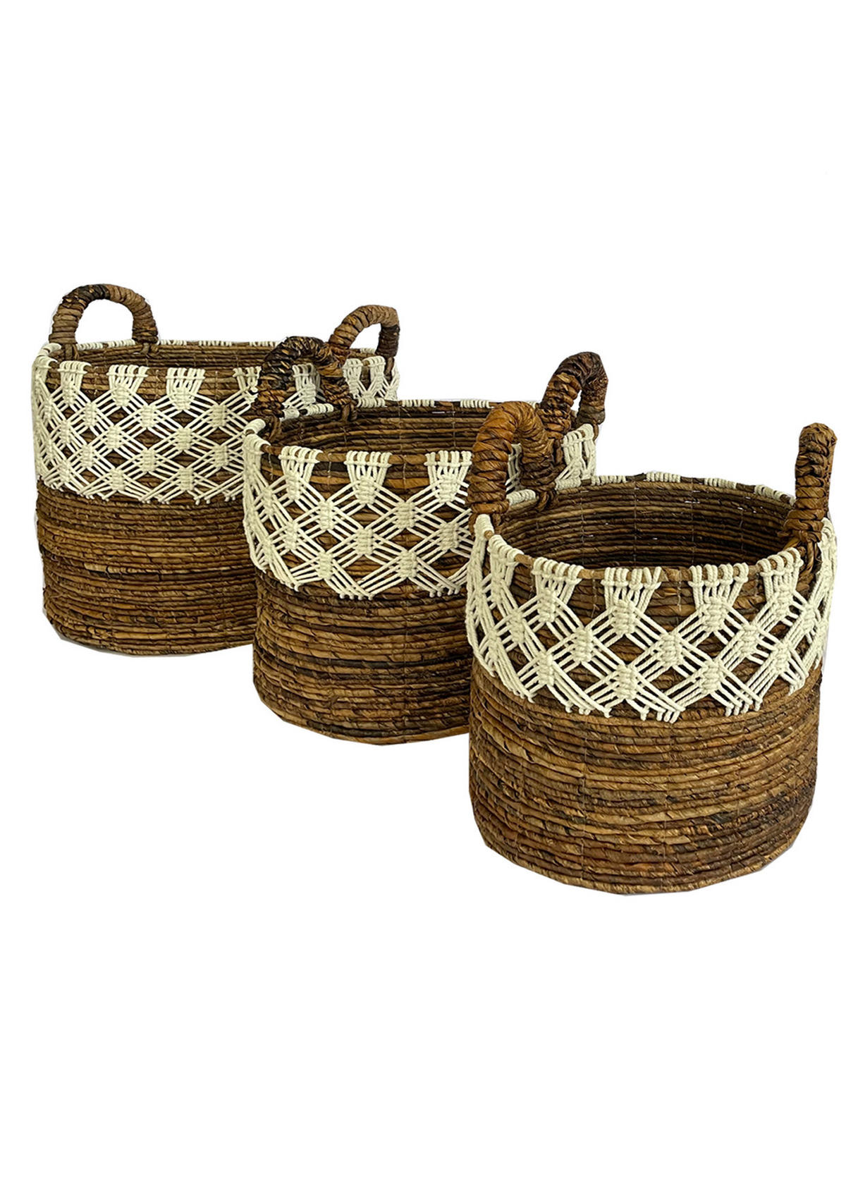 REGALKORB  - Natur - Landscape