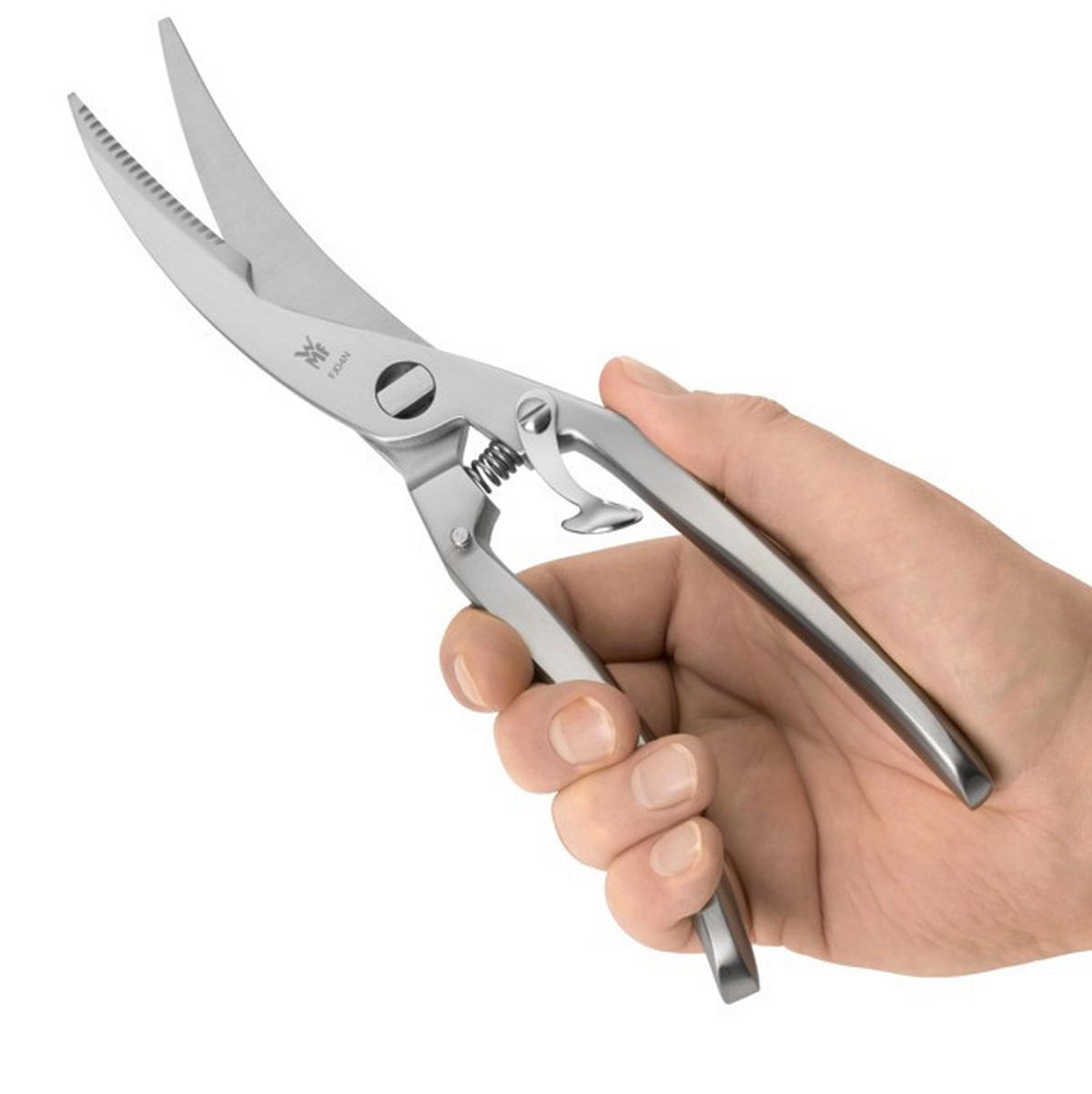 GEFLÜGELSCHERE - Edelstahlfarben, Basics, Metall (25cm) - WMF