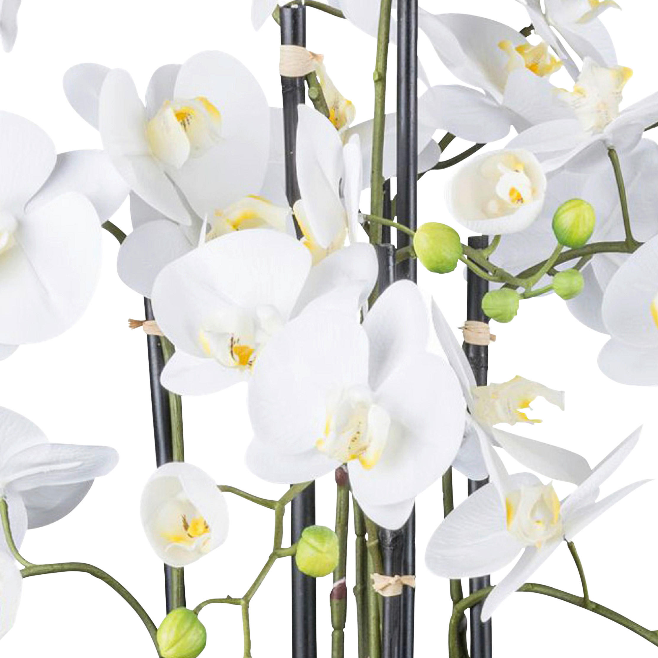 KUNSTPFLANZE Orchidee 93 cm - Weiß/Grün, Design, Kunststoff (93cm) - P & B